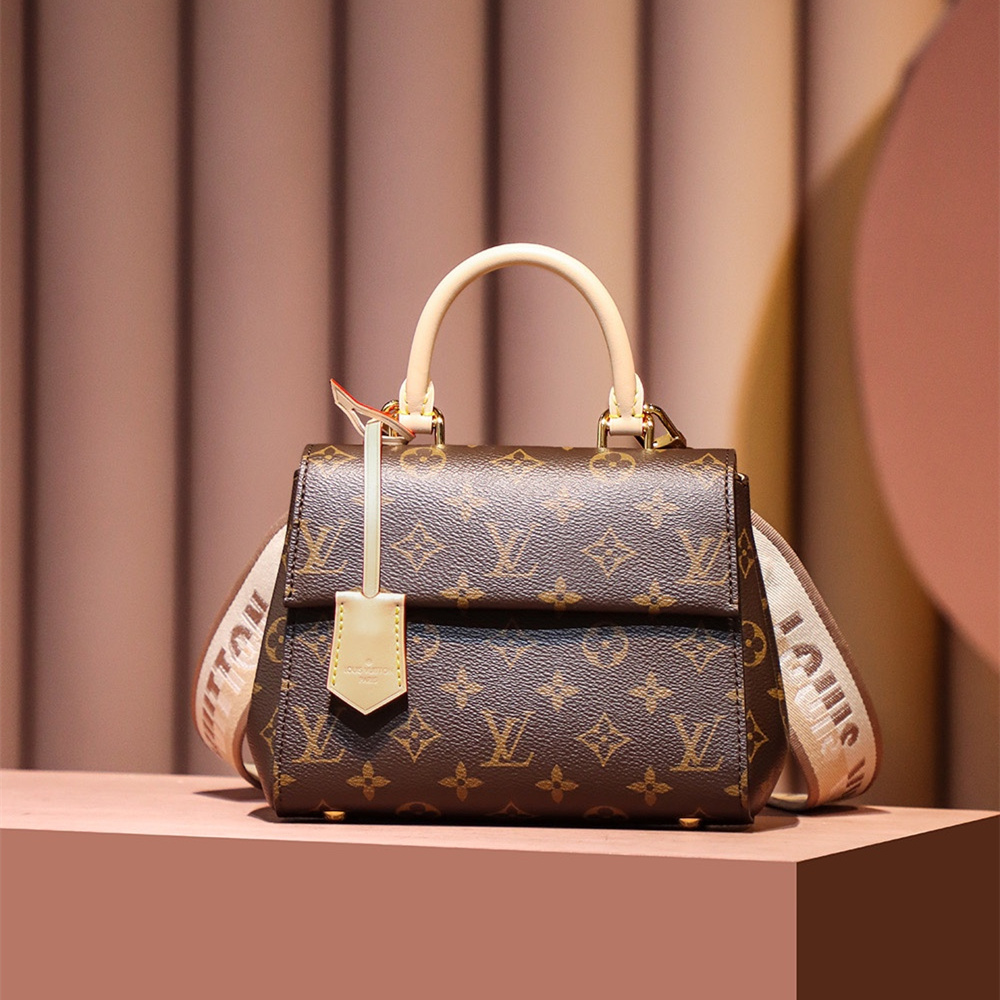 Louis Vuitton Cluny Mini M46055