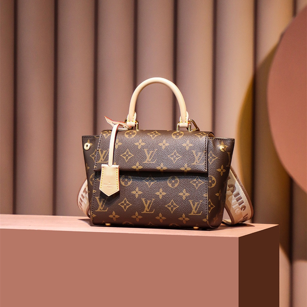 Louis Vuitton Cluny Mini M46055