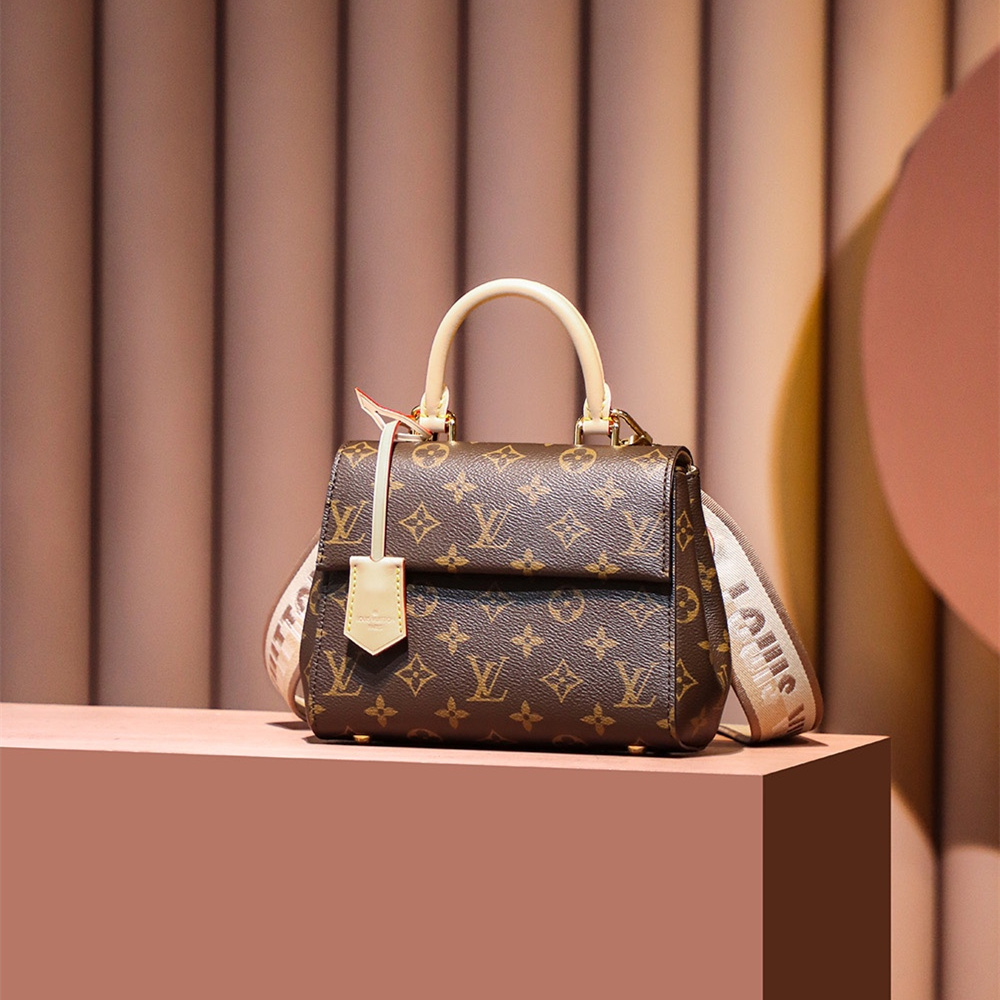 Louis Vuitton Cluny Mini M46055