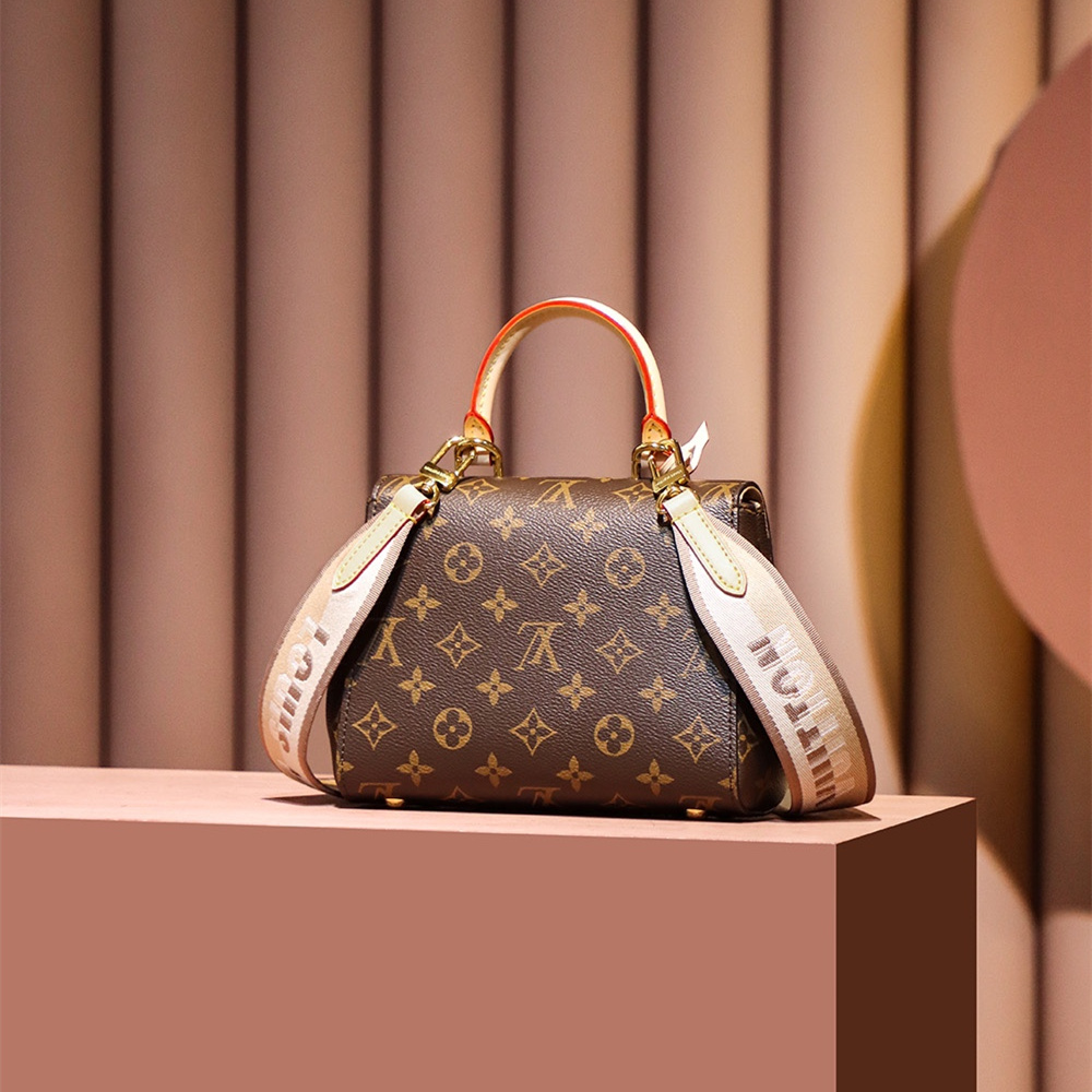 Louis Vuitton Cluny Mini M46055