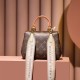 Louis Vuitton Cluny Mini M46055