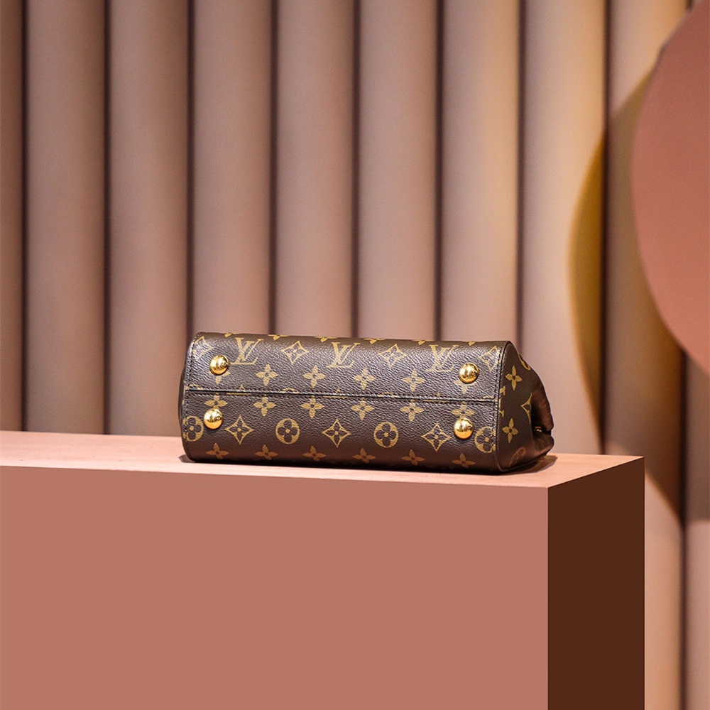 Louis Vuitton Cluny BB M46372