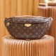 Louis Vuitton Bumbag M43644