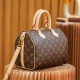 Louis Vuitton Speedy 25 M41113