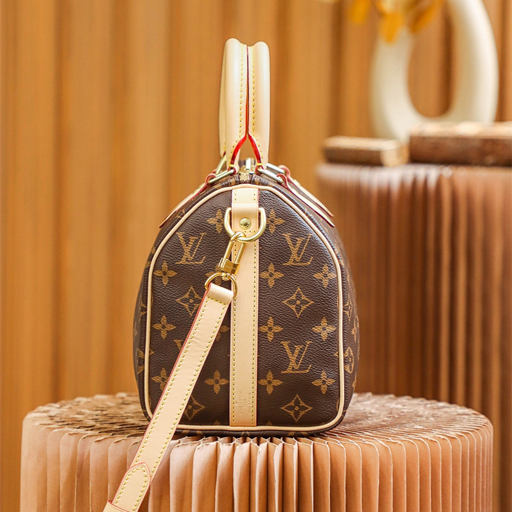 Louis Vuitton Speedy 25 M41113