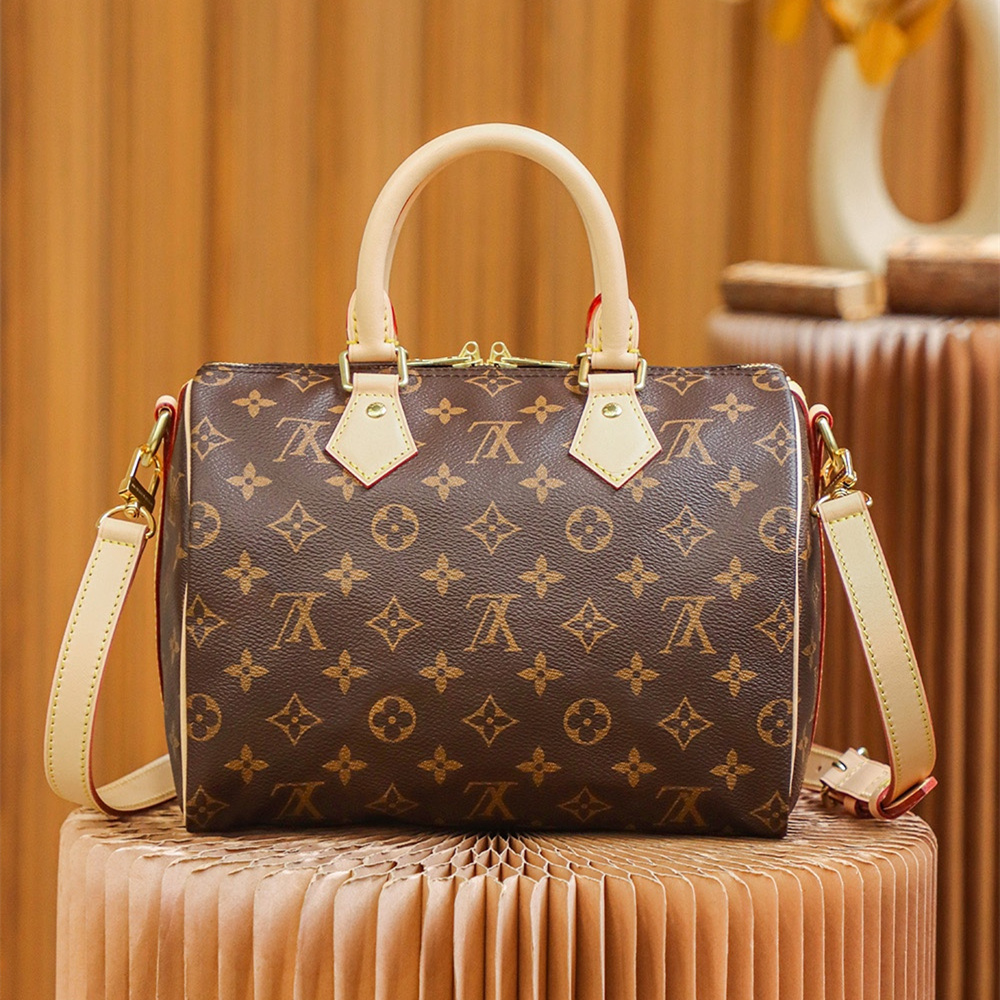 Louis Vuitton Speedy 25 M41113