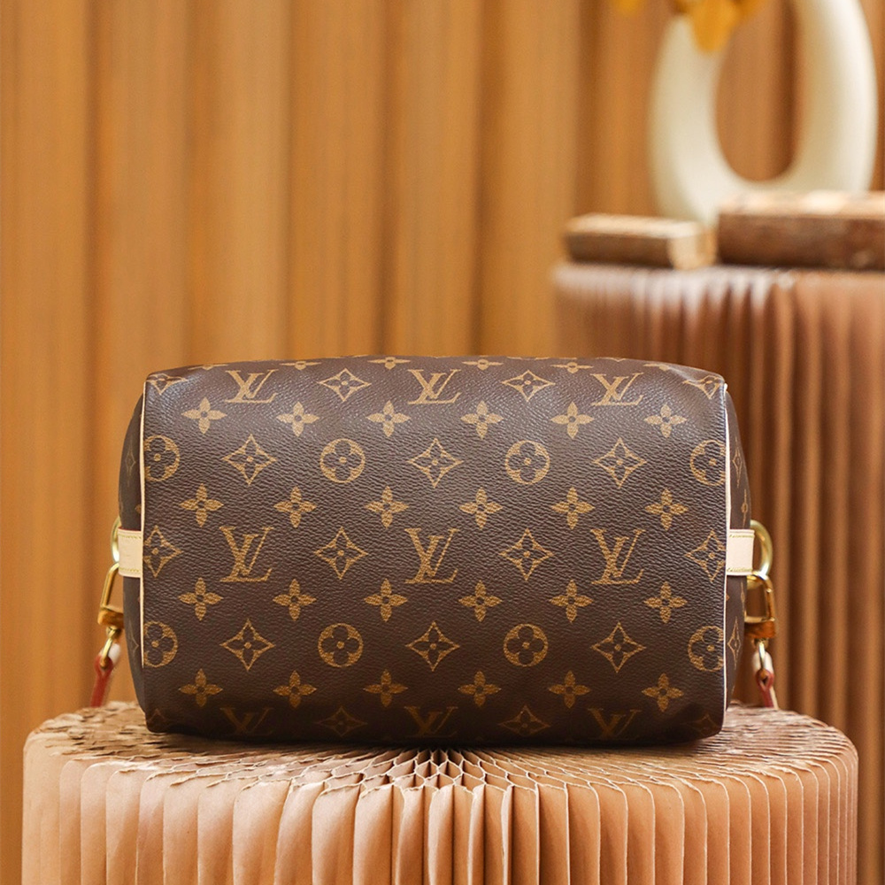 Louis Vuitton Speedy 25 M41113