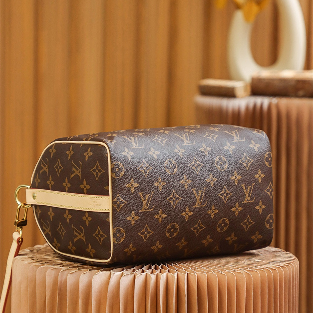 Louis Vuitton Speedy 25 M41113