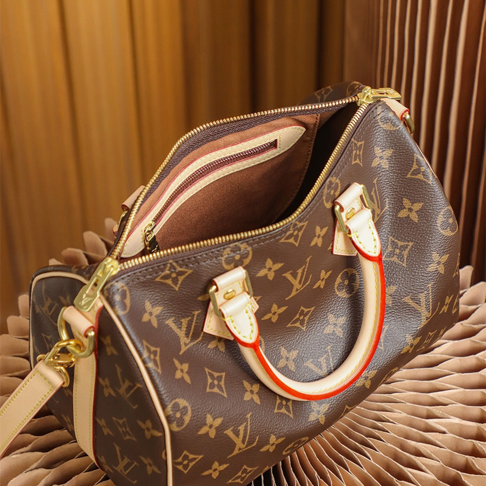 Louis Vuitton Speedy 25 M41113