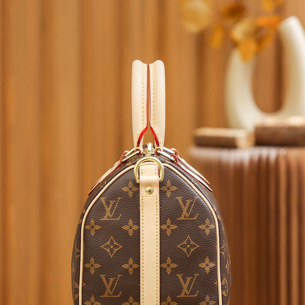 Louis Vuitton Speedy 25 M41113