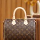 Louis Vuitton Speedy 25 M41113