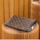 Louis Vuitton Toiletry Pouch M47542