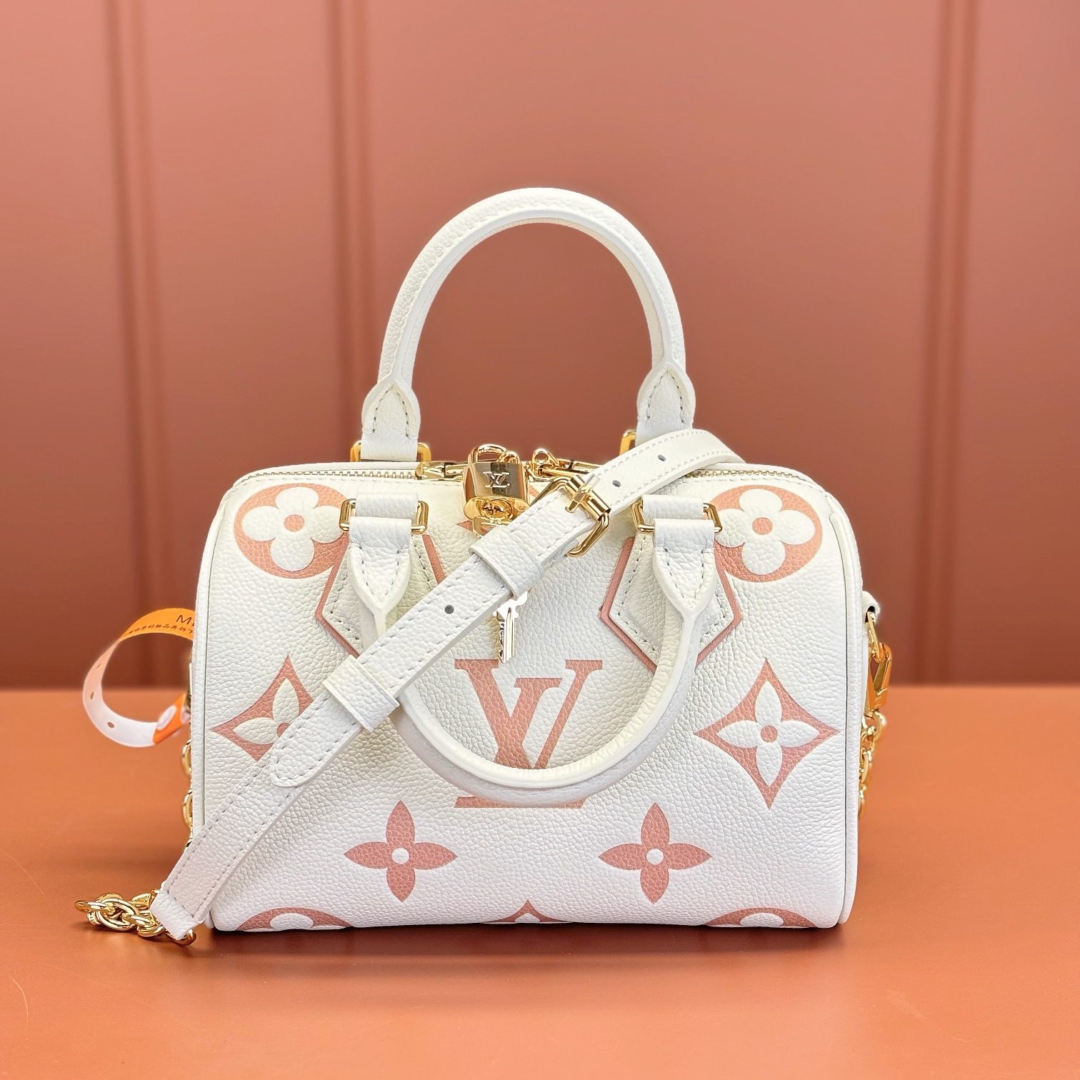 Louis Vuitton Speedy20 M46875 