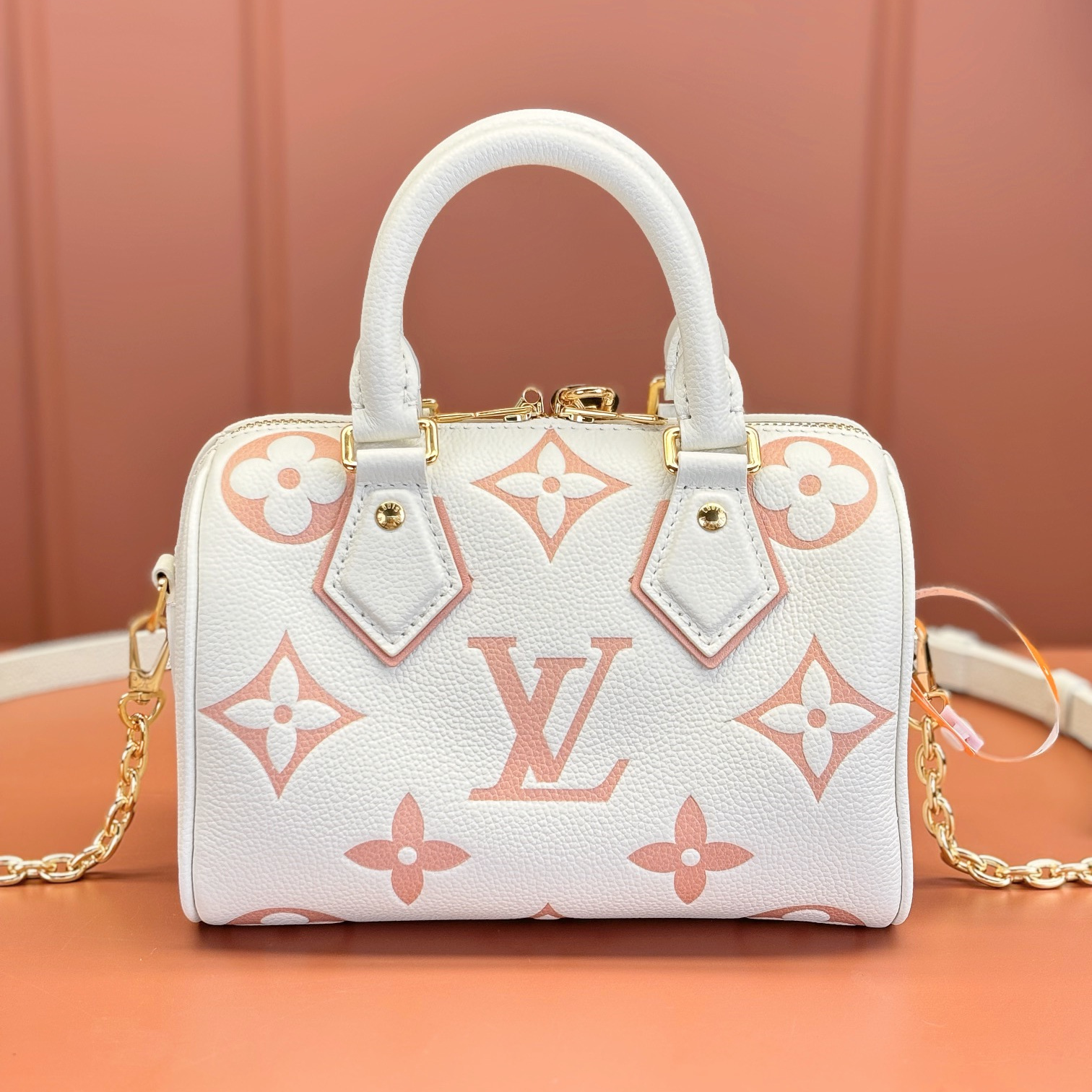 Louis Vuitton Speedy20 M46875 