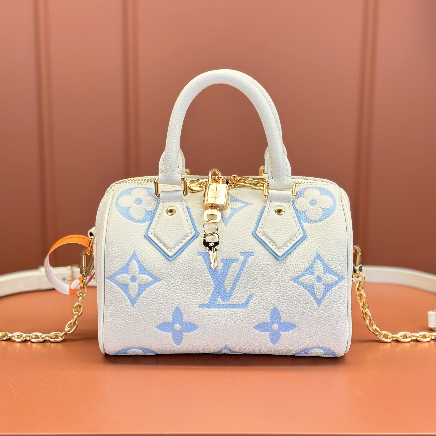 Louis Vuitton Speedy20 M46883 