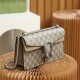 Gucci Dionysus GG Series Classic Bag