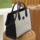 Gucci Ophidia Series Neutral Tote Bag