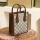 Gucci Mini Tote Bag Classic Monogram