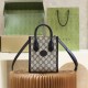 Gucci Mini Ophidia Tote Bag New Color