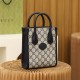 Gucci Mini Ophidia Tote Bag New Color