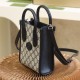 Gucci Mini Ophidia Tote Bag New Color