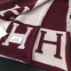 Hermes Fuchsia Avalon Blanket