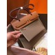 Hermes Herbag Zip 31cm Bag In Brown And Taupe