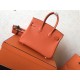 Hermes Orange Birkin 25cm Clemence Handmade Bag