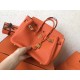 Hermes Orange Birkin 25cm Clemence Handmade Bag