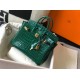 Hermes Birkin 25cm Bag In Green Embossed Crocodile Leather