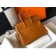 Hermes Birkin 25cm Bag In Gold Embossed Crocodile Leather