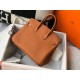 Hermes Touch Birkin 25cm Limited Edition Gold Bag