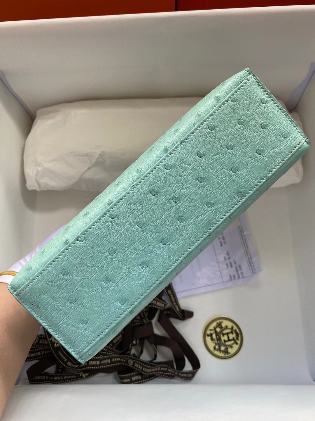 Hermes Aqua Kelly Pochette Ostrich Handmade Bag