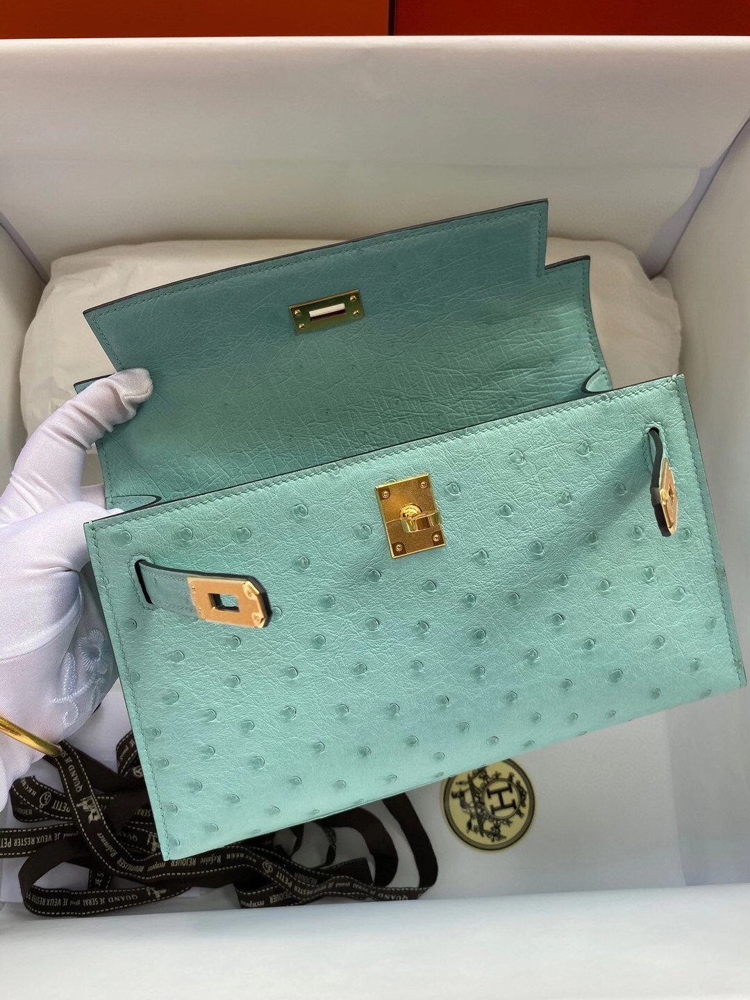 Hermes Aqua Kelly Pochette Ostrich Handmade Bag