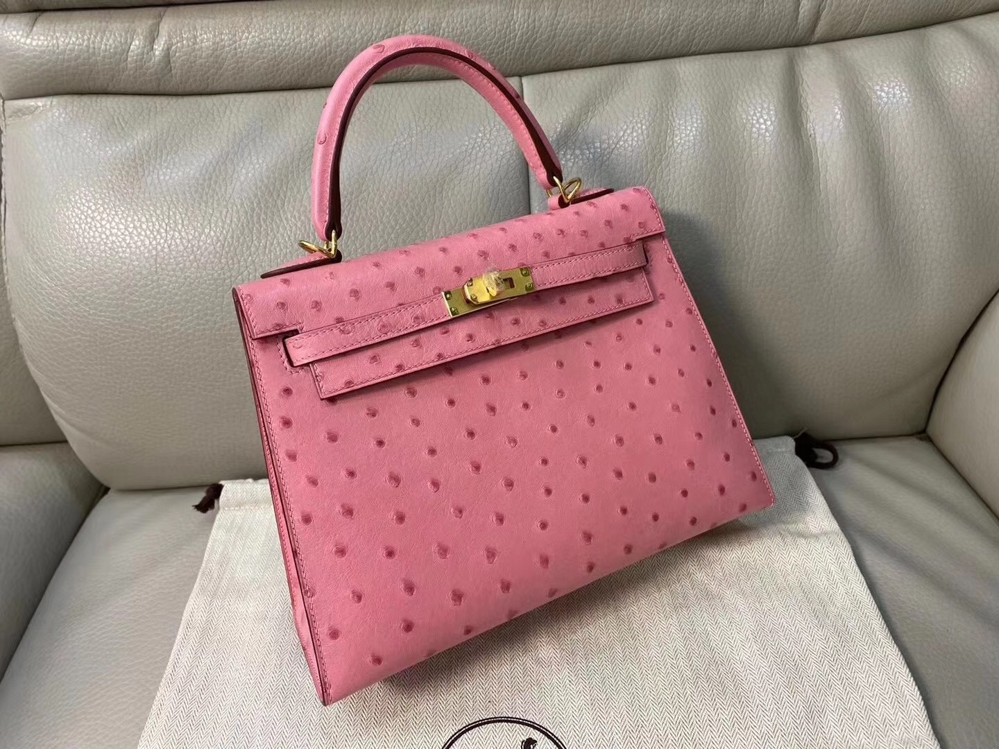 Hermes Terre Cutie Ostrich Kelly 25cm Handmade Bag