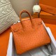 Hermes Orange Birkin 25cm Ostrich Handmade Bag