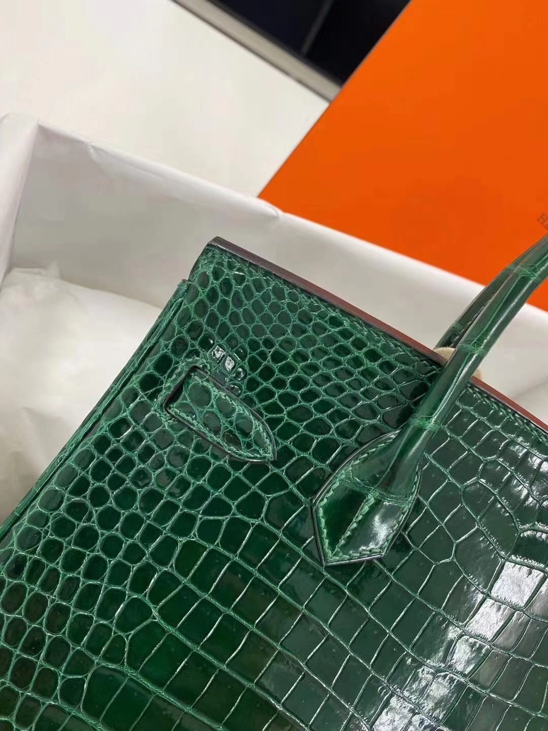 Hermes Birkin 30cm Bag In Green Crocodile Porosus Shiny Skin