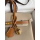 Hermes HSS Birkin 25 Bicolor Bag in Trench and Gold Epsom Calfskin