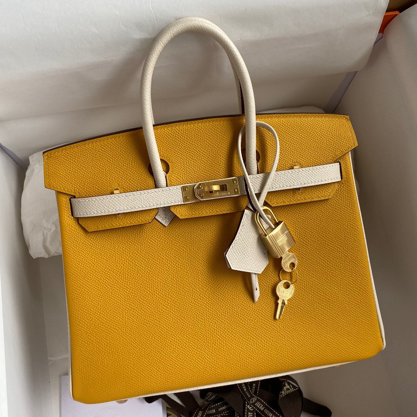 Hermes HSS Birkin 25 Bicolor Bag in Jaune d'or and Craie Epsom Calfskin