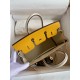 Hermes HSS Birkin 25 Bicolor Bag in Jaune d'or and Craie Epsom Calfskin