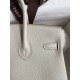 Hermes Birkin 25 Retourne Handmade Bag In Pearl Grey Clemence Leather