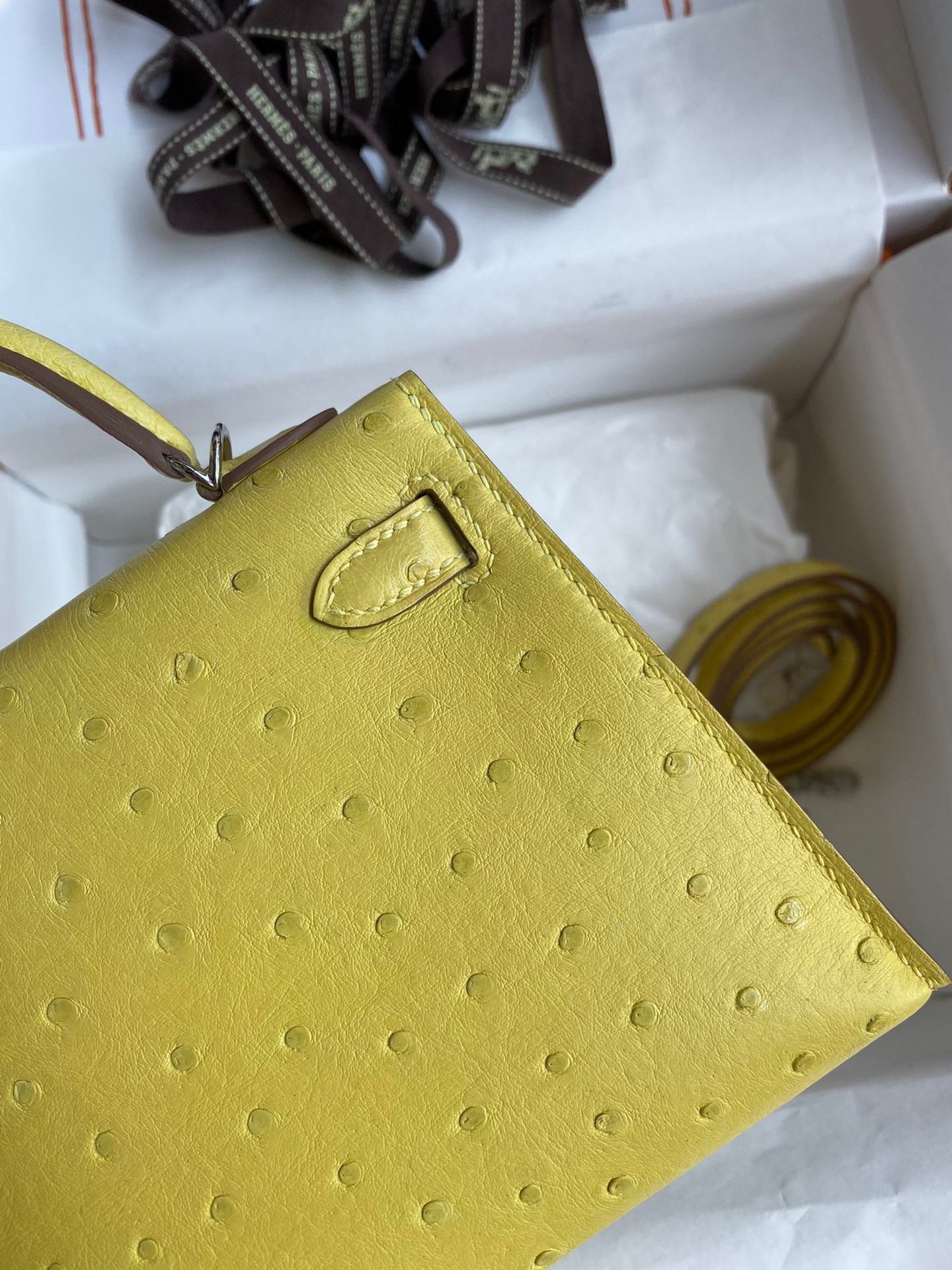 Hermes Kelly Mini II Sellier Handmade Bag In Lime Ostrich Leather