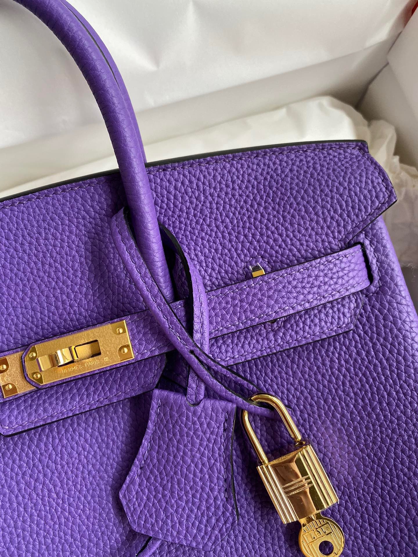 Hermes Birkin 25 Retourne Handmade Bag In Violet Clemence Leather