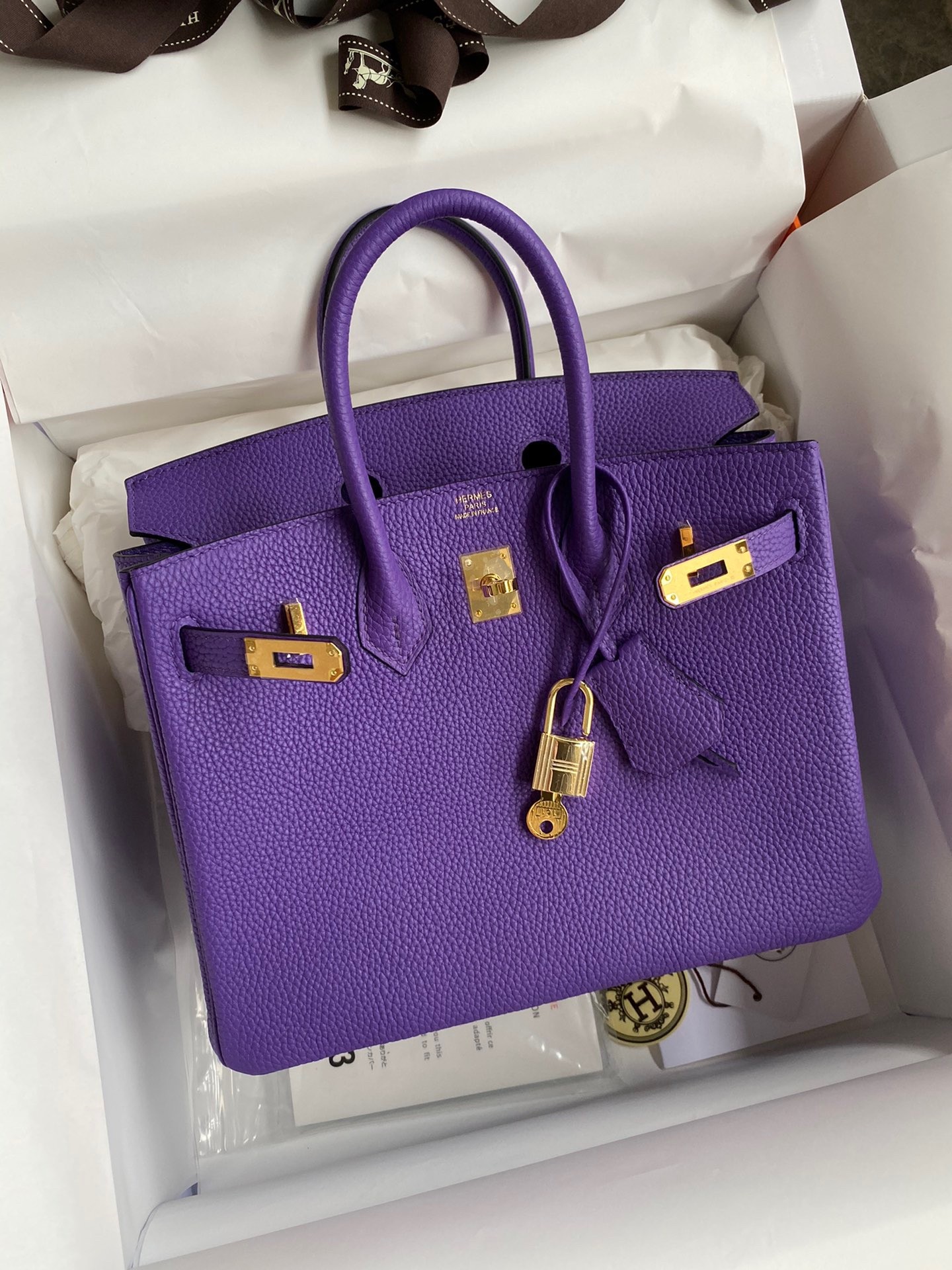 Hermes Birkin 25 Retourne Handmade Bag In Violet Clemence Leather