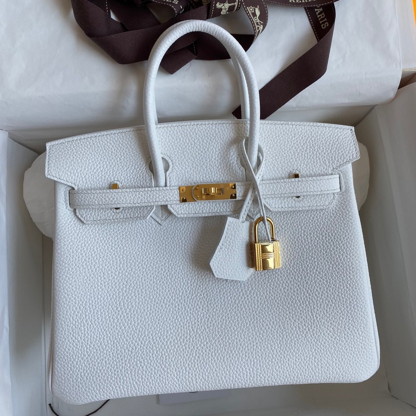 Hermes Birkin 25 Retourne Handmade Bag In White Clemence Leather