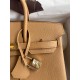 Hermes Birkin 25 Retourne Handmade Bag In Biscuit Epsom Calfskin