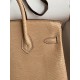 Hermes Birkin 25 Retourne Handmade Bag In Beige Lizard Leather