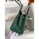 Hermes Birkin 25 Retourne Handmade Bag In Malachite Lizard Leather