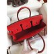 Hermes Birkin 25 Retourne Handmade Bag In Red Lizard Leather