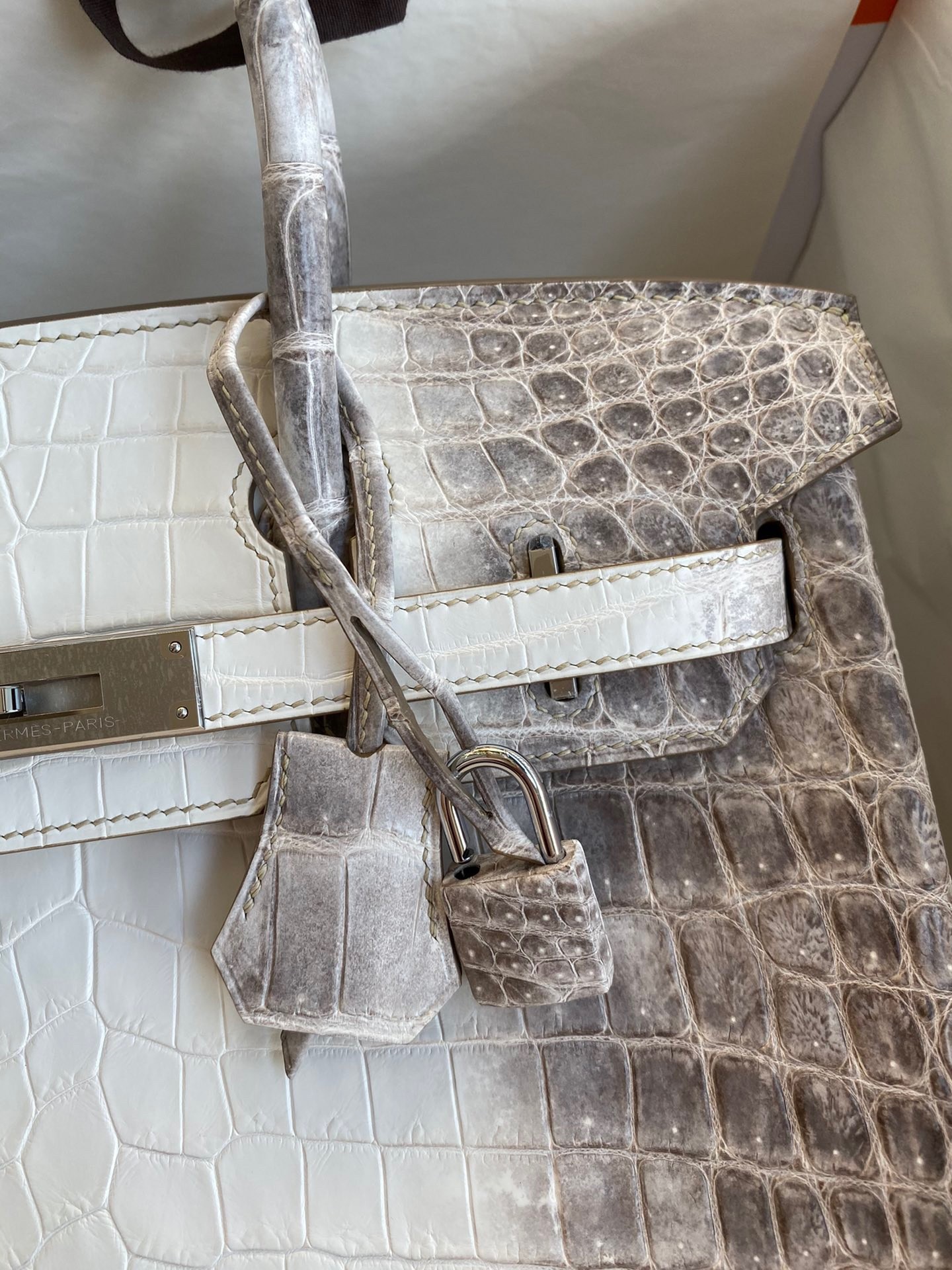 Hermes Birkin 25 Retourne Bag In Himalaya Niloticus Crocodile Skin